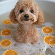 ヒメ日記 2025/06/23 14:35 投稿 如月胡桃(きさらぎくるみ) 九州熟女　八代店