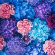 ヒメ日記 2025/07/14 23:15 投稿 如月胡桃(きさらぎくるみ) 九州熟女　八代店