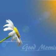 ヒメ日記 2025/07/24 07:45 投稿 如月胡桃(きさらぎくるみ) 九州熟女　八代店