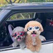 ヒメ日記 2025/07/29 01:35 投稿 如月胡桃(きさらぎくるみ) 九州熟女　八代店