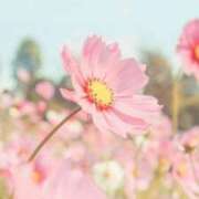 ヒメ日記 2025/09/01 13:35 投稿 如月胡桃(きさらぎくるみ) 九州熟女　八代店