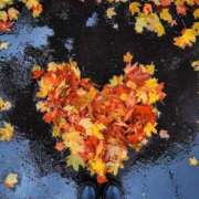 ヒメ日記 2025/09/26 08:35 投稿 如月胡桃(きさらぎくるみ) 九州熟女　八代店