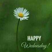 ヒメ日記 2025/10/29 09:45 投稿 如月胡桃(きさらぎくるみ) 九州熟女　八代店