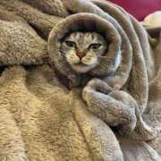 ヒメ日記 2025/11/04 00:35 投稿 如月胡桃(きさらぎくるみ) 九州熟女　八代店