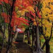 ヒメ日記 2025/11/19 00:34 投稿 如月胡桃(きさらぎくるみ) 九州熟女　八代店