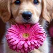 ヒメ日記 2025/11/21 01:45 投稿 如月胡桃(きさらぎくるみ) 九州熟女　八代店