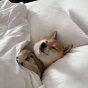 ヒメ日記 2026/02/19 23:56 投稿 如月胡桃(きさらぎくるみ) 九州熟女　八代店