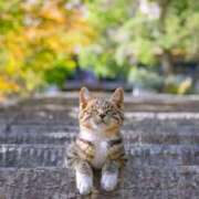 ヒメ日記 2026/03/14 12:35 投稿 如月胡桃(きさらぎくるみ) 九州熟女　八代店