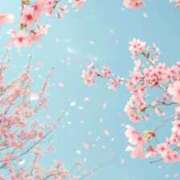 ヒメ日記 2026/03/19 18:25 投稿 如月胡桃(きさらぎくるみ) 九州熟女　八代店