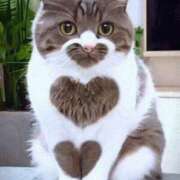 ヒメ日記 2026/04/18 15:35 投稿 如月胡桃(きさらぎくるみ) 九州熟女　八代店