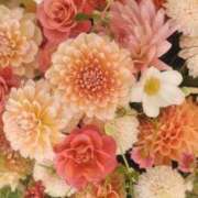 ヒメ日記 2026/05/29 21:52 投稿 如月胡桃(きさらぎくるみ) 九州熟女　八代店