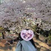 ヒメ日記 2025/04/03 09:41 投稿 いちか 逢って30秒で即尺