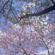 ヒメ日記 2025/04/27 09:03 投稿 いちか 逢って30秒で即尺