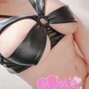 ヒメ日記 2025/05/14 21:53 投稿 いちか 逢って30秒で即尺