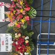 ヒメ日記 2025/05/31 15:35 投稿 いちか 逢って30秒で即尺