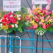 ヒメ日記 2025/05/31 15:40 投稿 いちか 逢って30秒で即尺