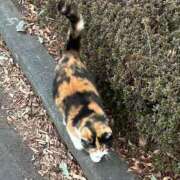 ヒメ日記 2026/01/20 17:48 投稿 いちか 逢って30秒で即尺