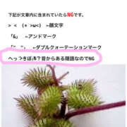 ヒメ日記 2026/03/07 19:52 投稿 いちか 逢って30秒で即尺