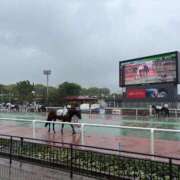 ヒメ日記 2025/05/05 18:31 投稿 さら 千葉泡洗体デラックスエステ