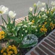 ヒメ日記 2025/04/12 16:26 投稿 みづほ タレント倶楽部Around40