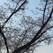 みづほ こんばんは タレント倶楽部Around40