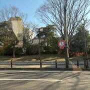 ヒメ日記 2025/03/09 15:53 投稿 柚木　ちはる エテルナ京都