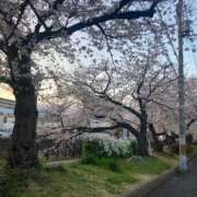 ヒメ日記 2025/04/05 21:38 投稿 柚木　ちはる エテルナ京都