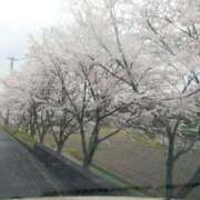 ヒメ日記 2025/04/13 08:47 投稿 柚木　ちはる エテルナ京都