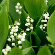 ヒメ日記 2025/06/08 08:59 投稿 柚木　ちはる エテルナ京都