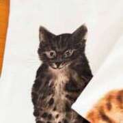 ヒメ日記 2025/07/05 09:03 投稿 柚木　ちはる エテルナ京都