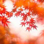 柚木　ちはる こんにちは エテルナ京都