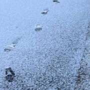 ヒメ日記 2026/01/25 07:12 投稿 柚木　ちはる エテルナ京都