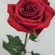 柚木　ちはる 【お礼写メ日記】 エテルナ京都