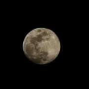 ヒメ日記 2025/02/16 12:10 投稿 小川今日子 五十路マダム 新居浜店（カサブランカグループ）