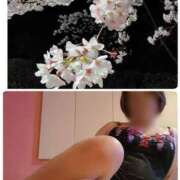 ヒメ日記 2025/04/04 16:44 投稿 小川今日子 五十路マダム 新居浜店（カサブランカグループ）