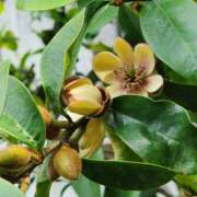 ヒメ日記 2025/04/19 22:46 投稿 小川今日子 五十路マダム 新居浜店（カサブランカグループ）