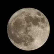 ヒメ日記 2025/05/13 20:56 投稿 小川今日子 五十路マダム 新居浜店（カサブランカグループ）