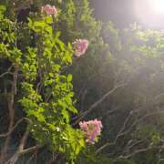 ヒメ日記 2025/07/07 15:45 投稿 まひろ ぷるるんギャング