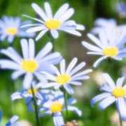 ヒメ日記 2025/04/23 11:52 投稿 うらら 完熟ばなな 上野店