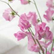 ヒメ日記 2025/05/31 10:00 投稿 うらら 完熟ばなな 上野店