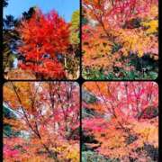 ヒメ日記 2025/12/23 21:09 投稿 みな 松本人妻隊