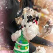 ヒメ日記 2024/12/20 20:09 投稿 まな スッキリ！！日本橋店