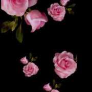 ヒメ日記 2025/09/05 07:42 投稿 さえ☆ 豊橋豊川ちゃんこ