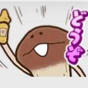 ヒメ日記 2025/11/09 18:12 投稿 さえ☆ 豊橋豊川ちゃんこ