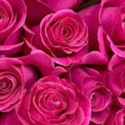 ヒメ日記 2025/11/28 01:12 投稿 さえ☆ 豊橋豊川ちゃんこ