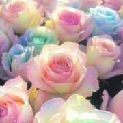 ヒメ日記 2025/11/28 10:22 投稿 さえ☆ 豊橋豊川ちゃんこ