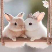 ヒメ日記 2025/12/09 19:42 投稿 さえ☆ 豊橋豊川ちゃんこ