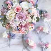 ヒメ日記 2025/12/19 03:12 投稿 さえ☆ 豊橋豊川ちゃんこ