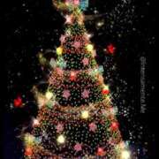 ヒメ日記 2025/12/25 12:22 投稿 さえ☆ 豊橋豊川ちゃんこ