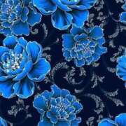 ヒメ日記 2026/01/04 07:42 投稿 さえ☆ 豊橋豊川ちゃんこ